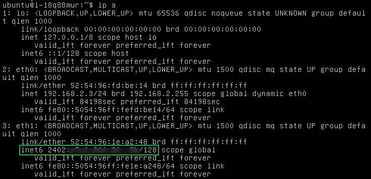 inbind ipv6 8