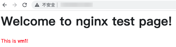 centos nginx verify