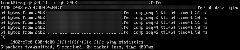 vpc vm ping6 test 2